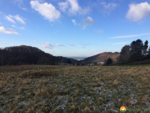 Huegelgrabwanderung-Odenwald-08