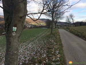 Huegelgrabwanderung-Odenwald-09