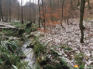 Huegelgrabwanderung-Odenwald-10