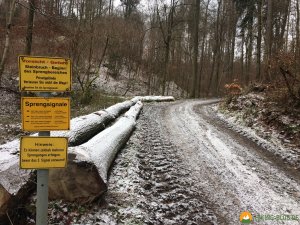 Huegelgrabwanderung-Odenwald-11