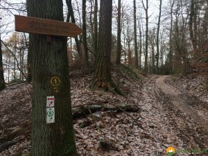 Huegelgrabwanderung-Odenwald-15