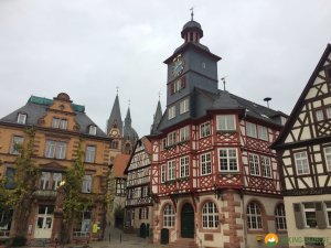 Huegelgrabwanderung-Odenwald-25