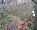 Huegelgrabwanderung-Odenwald-05