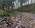 Huegelgrabwanderung-Odenwald-06