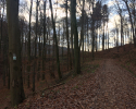 Huegelgrabwanderung-Odenwald-07