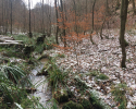 Huegelgrabwanderung-Odenwald-10