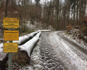 Huegelgrabwanderung-Odenwald-11