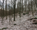Huegelgrabwanderung-Odenwald-12