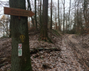 Huegelgrabwanderung-Odenwald-15
