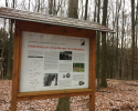 Huegelgrabwanderung-Odenwald-17