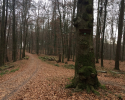 Huegelgrabwanderung-Odenwald-18