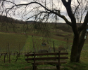 Huegelgrabwanderung-Odenwald-20