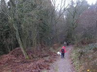 bloggerwanderung_kall_trail_westwall03