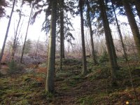 bloggerwanderung_kall_trail_westwall04