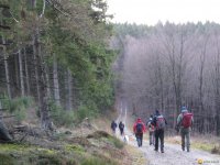 bloggerwanderung_kall_trail_westwall13