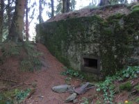 bloggerwanderung_kall_trail_westwall17