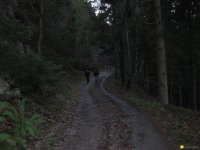 bloggerwanderung_kall_trail_westwall23