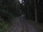 bloggerwanderung_kall_trail_westwall23