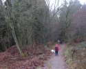 bloggerwanderung_kall_trail_westwall03