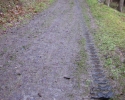 bloggerwanderung_kall_trail_westwall07