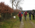 bloggerwanderung_kall_trail_westwall11