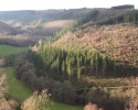 bloggerwanderung_kall_trail_westwall12