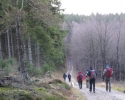 bloggerwanderung_kall_trail_westwall13