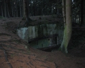 bloggerwanderung_kall_trail_westwall14
