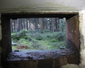bloggerwanderung_kall_trail_westwall15
