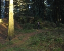 bloggerwanderung_kall_trail_westwall19