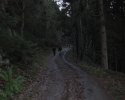 bloggerwanderung_kall_trail_westwall23