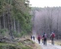 bloggerwanderung_kall_trail_westwall13