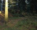 bloggerwanderung_kall_trail_westwall19