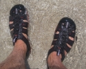 keen_clearwater_cnx16
