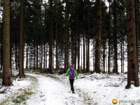 Kindelsbergpfad_01