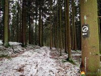 Kindelsbergpfad_03