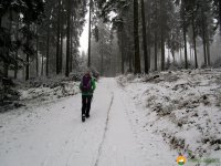 Kindelsbergpfad_08