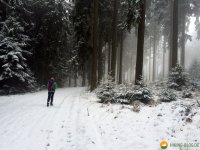 Kindelsbergpfad_09