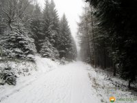 Kindelsbergpfad_16