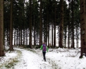 Kindelsbergpfad_01