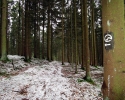 Kindelsbergpfad_03