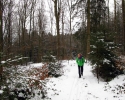 Kindelsbergpfad_06