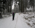 Kindelsbergpfad_08
