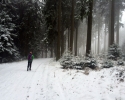 Kindelsbergpfad_09