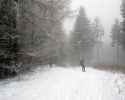 Kindelsbergpfad_11