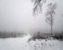 Kindelsbergpfad_14