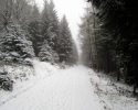 Kindelsbergpfad_16