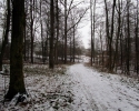Kindelsbergpfad_20