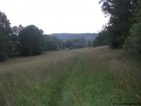 img_1517