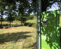 Lieserpfad-Etappe1-10